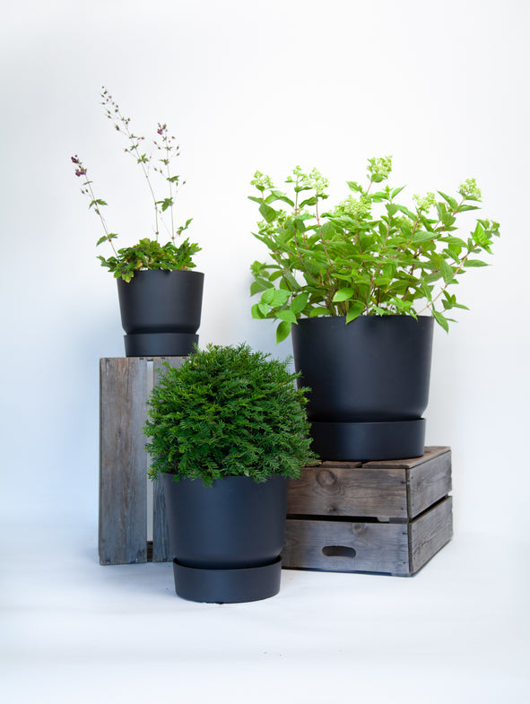 Soto House - Shade - 3/Set